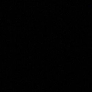 Meet your Posher, Brody